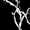 1528534725-7cc08c1182fe564c9cfd582011d942de4fd2d79e-liane-de-raphia.png