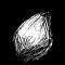 1528534725-7cc08c1182fe564c9cfd582011d942de4fd2d79e-noix-de-palme.png