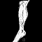 1529099826-7cc08c1182fe564c9cfd582011d942de4fd2d79e-tibia.png