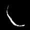 1529425599-b616ec828e5994776589c3ab8aed1b6e4d1479c9-fouet.png