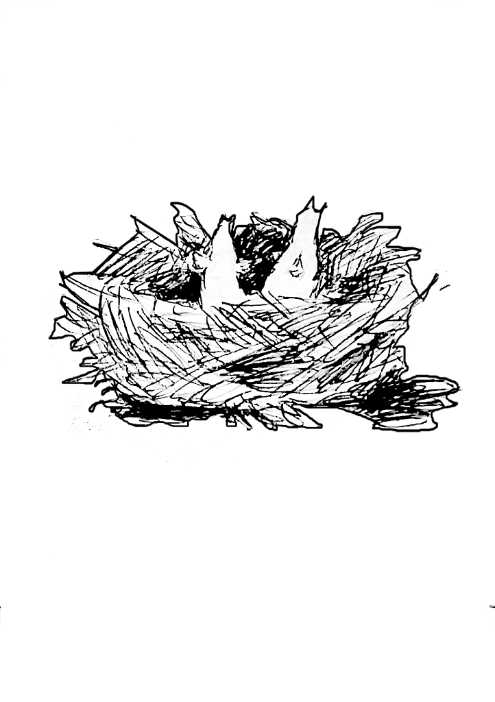 1531325421-b616ec828e5994776589c3ab8aed1b6e4d1479c9-nid.png