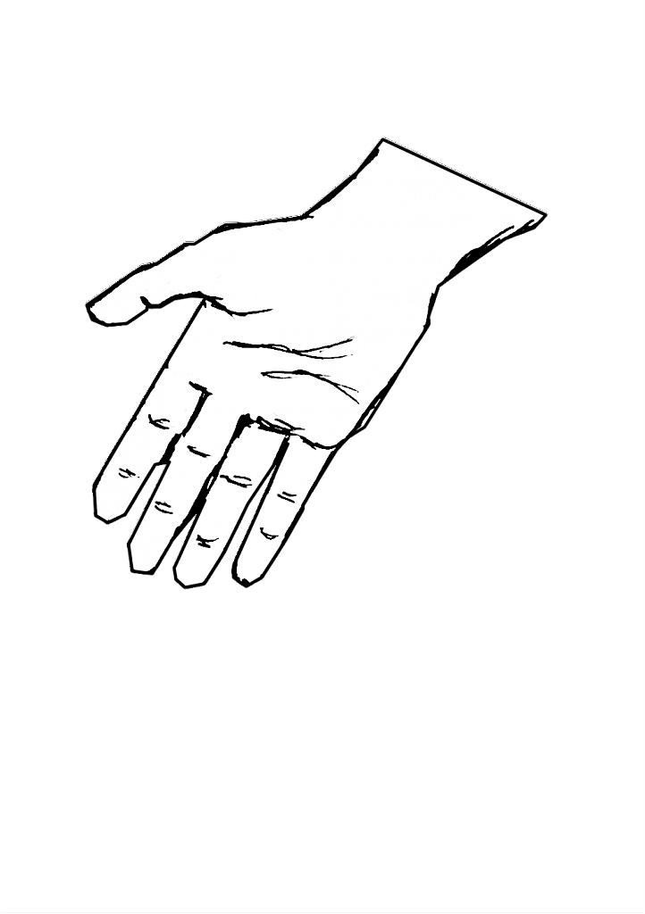 1531325421-b616ec828e5994776589c3ab8aed1b6e4d1479c9-paume-de-main.png