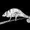 1532257236-7cc08c1182fe564c9cfd582011d942de4fd2d79e-cameleon.png