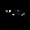 1532257309-7cc08c1182fe564c9cfd582011d942de4fd2d79e-dechet-de-noix.png