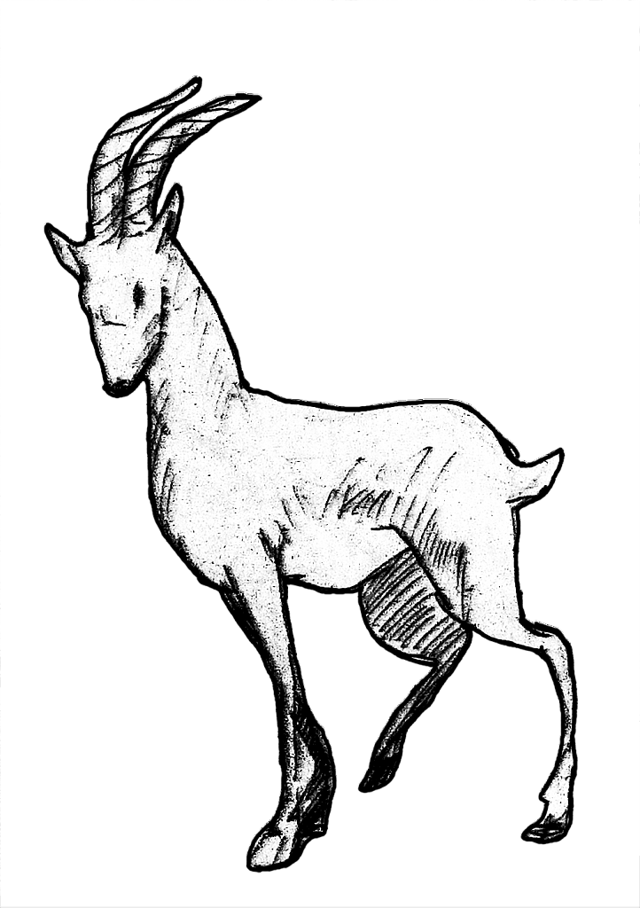 1533977965-7cc08c1182fe564c9cfd582011d942de4fd2d79e-yemba-antilope.png