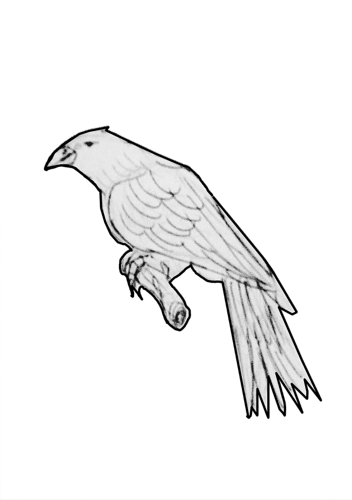 1533977991-7cc08c1182fe564c9cfd582011d942de4fd2d79e-yemba-corbeau.png