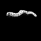 1533977991-7cc08c1182fe564c9cfd582011d942de4fd2d79e-yemba-mille-patte.png