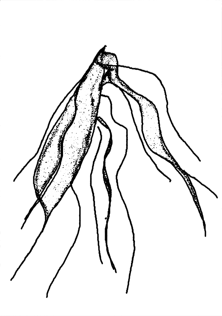 1533978022-7cc08c1182fe564c9cfd582011d942de4fd2d79e-yemba-eclair.png