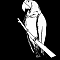 1533978022-7cc08c1182fe564c9cfd582011d942de4fd2d79e-yemba-perroquet.png