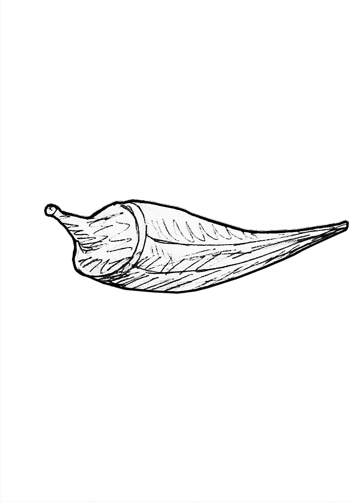 1533978049-7cc08c1182fe564c9cfd582011d942de4fd2d79e-yemba-gombo.png