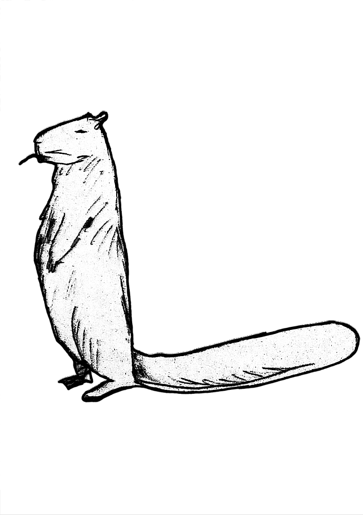 1533978074-7cc08c1182fe564c9cfd582011d942de4fd2d79e-yemba-lapin.png