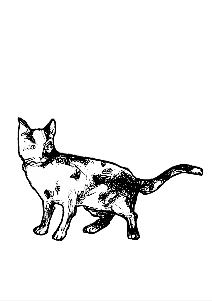 1533978074-7cc08c1182fe564c9cfd582011d942de4fd2d79e-yemba-le-chat.png