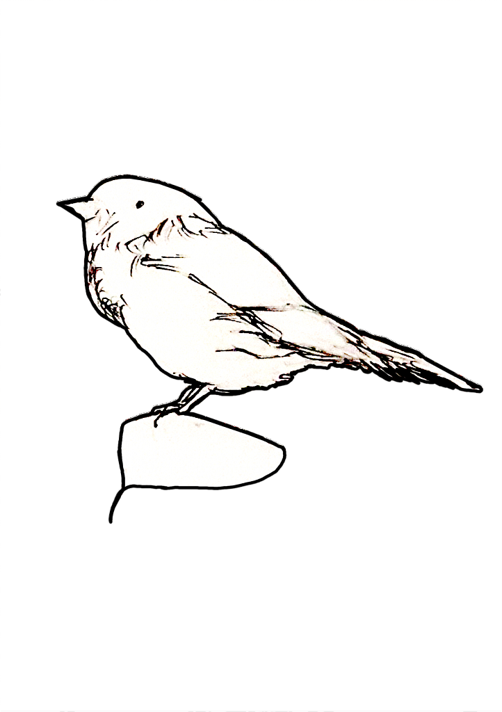 1533978074-7cc08c1182fe564c9cfd582011d942de4fd2d79e-yemba-moineau.png