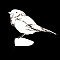 1533978074-7cc08c1182fe564c9cfd582011d942de4fd2d79e-yemba-moineau.png