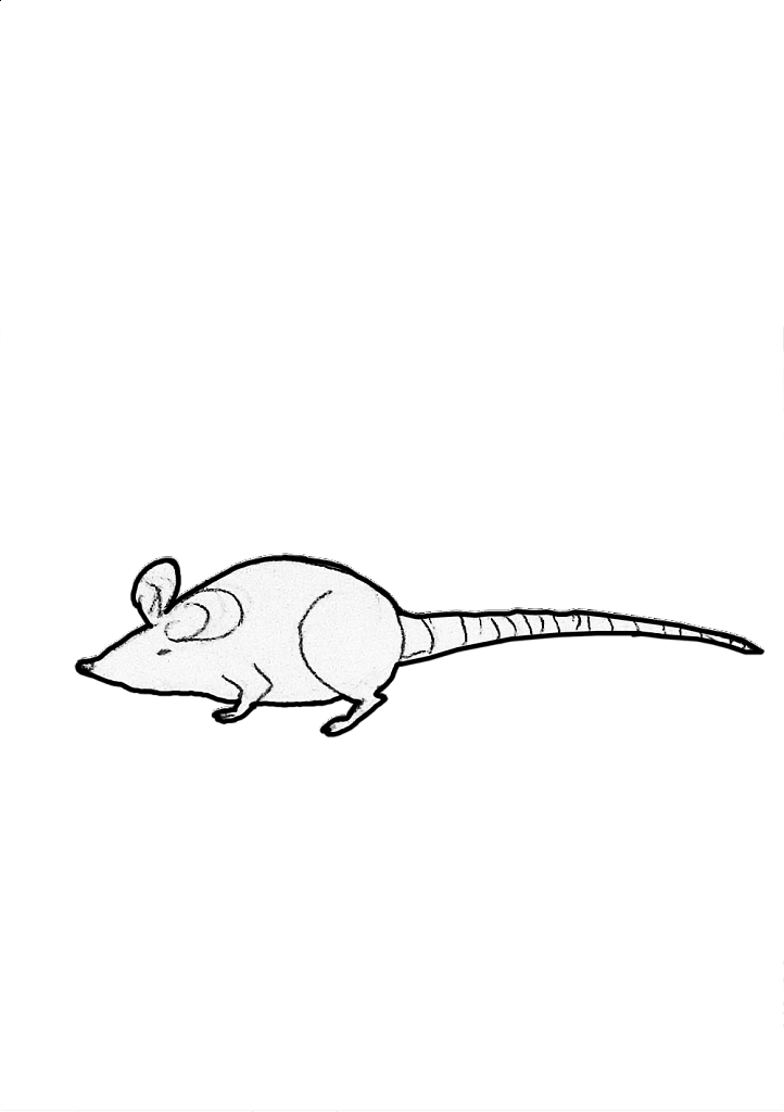1533978098-7cc08c1182fe564c9cfd582011d942de4fd2d79e-yemba-petite-souris.png
