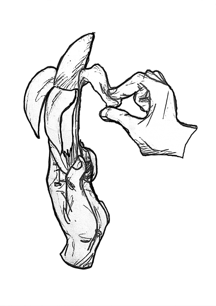 1534112863-b616ec828e5994776589c3ab8aed1b6e4d1479c9-enlever-la-peau-de-banane.png