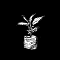 plante-de-cafeier.png