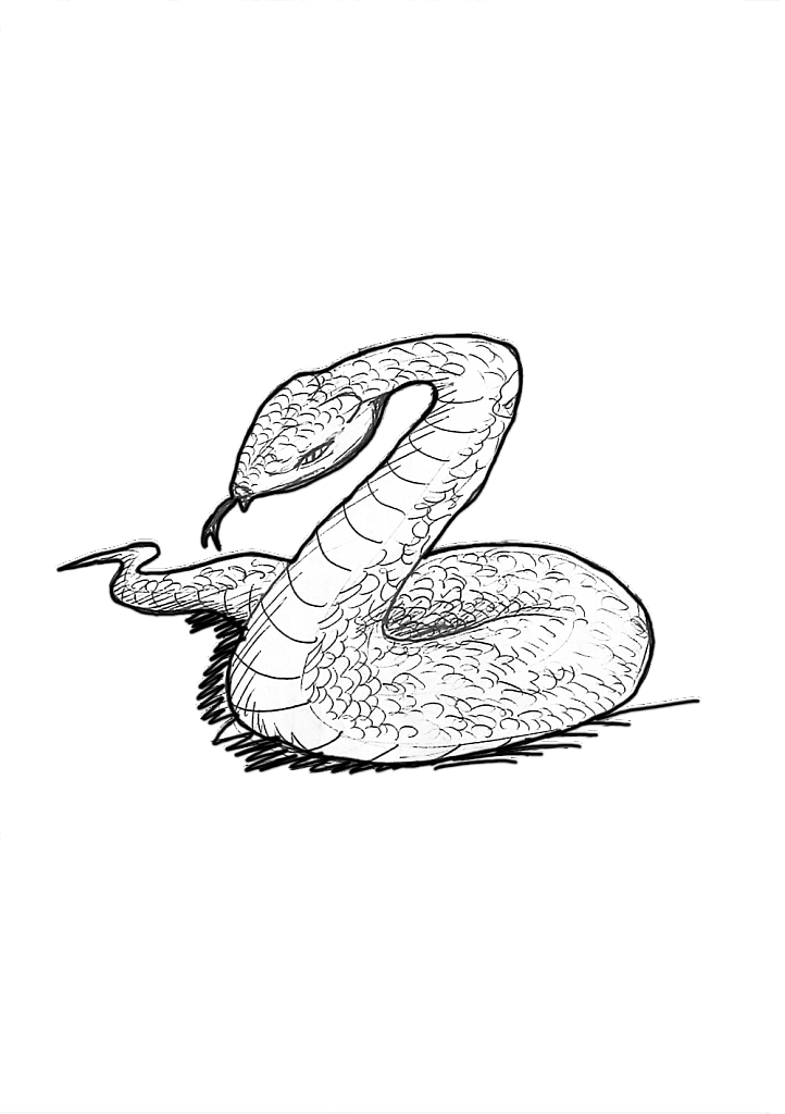 python.png