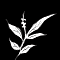 SORTE-DE-PLANTE.png