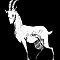 YEMBA-ANTILOPE.png