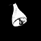 YEMBA-COCHE-SONNERIE.png