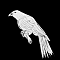 YEMBA-CORBEAU.png