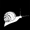 YEMBA-ESCARGOT.png