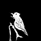 ESPECE-D-OISEAU-QUI-ANNONCE-LE-LEVE-DU-JOUR.png