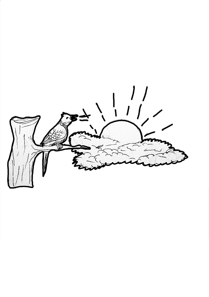 ESPECE-D-OISEAU-QUI-ANNONCE-LE-LEVER-DU-JOUR.png