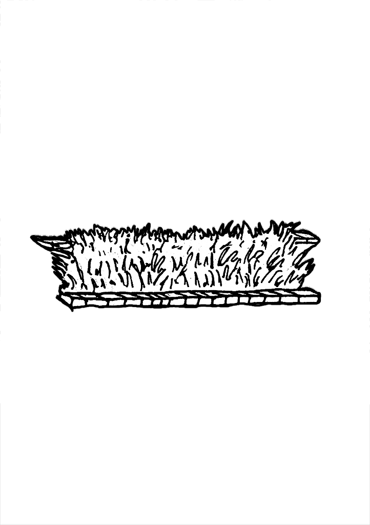GAZON.png