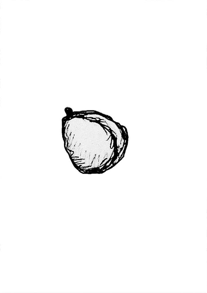 GRAINE-D-ARACHIDE-TAREE.png