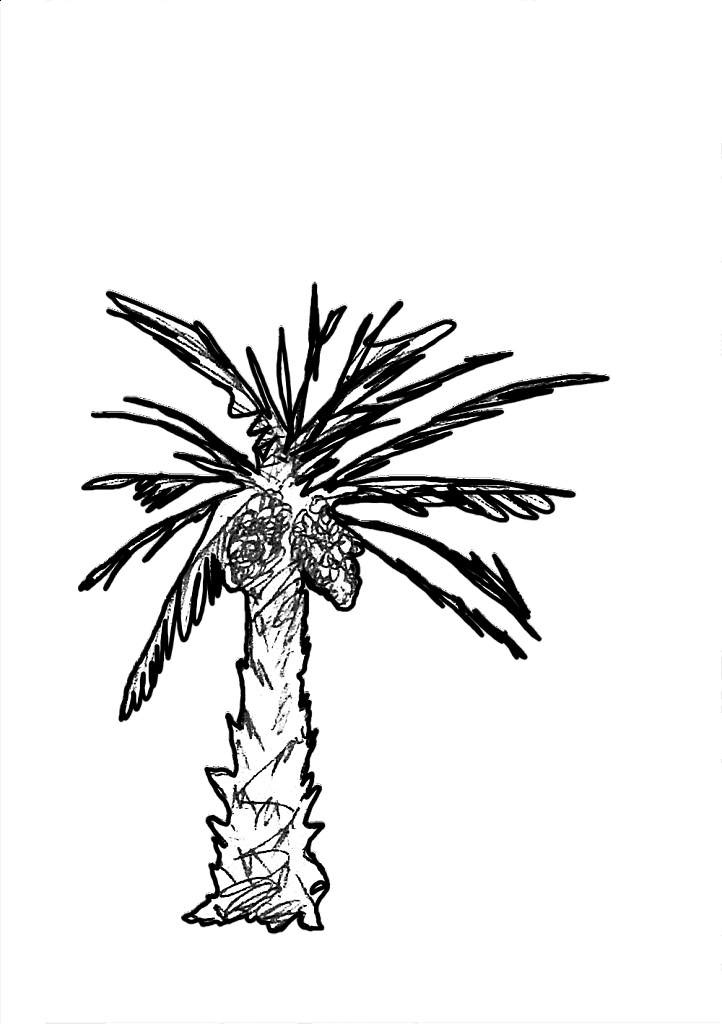 PALMIER-A-HUILE.png