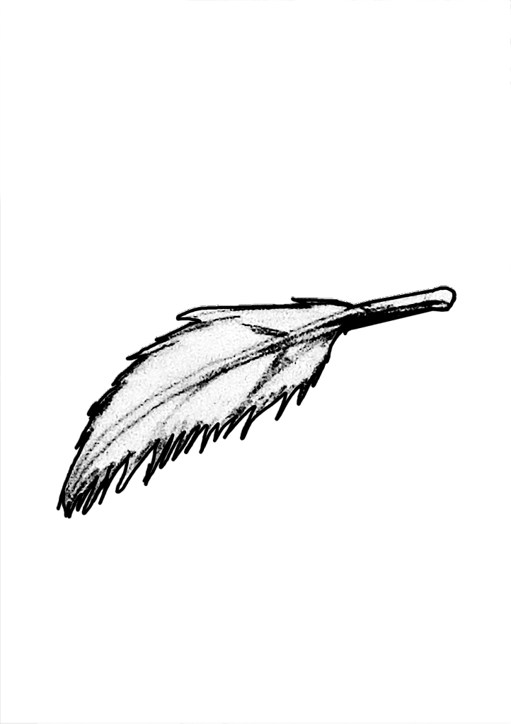 PLUME.png