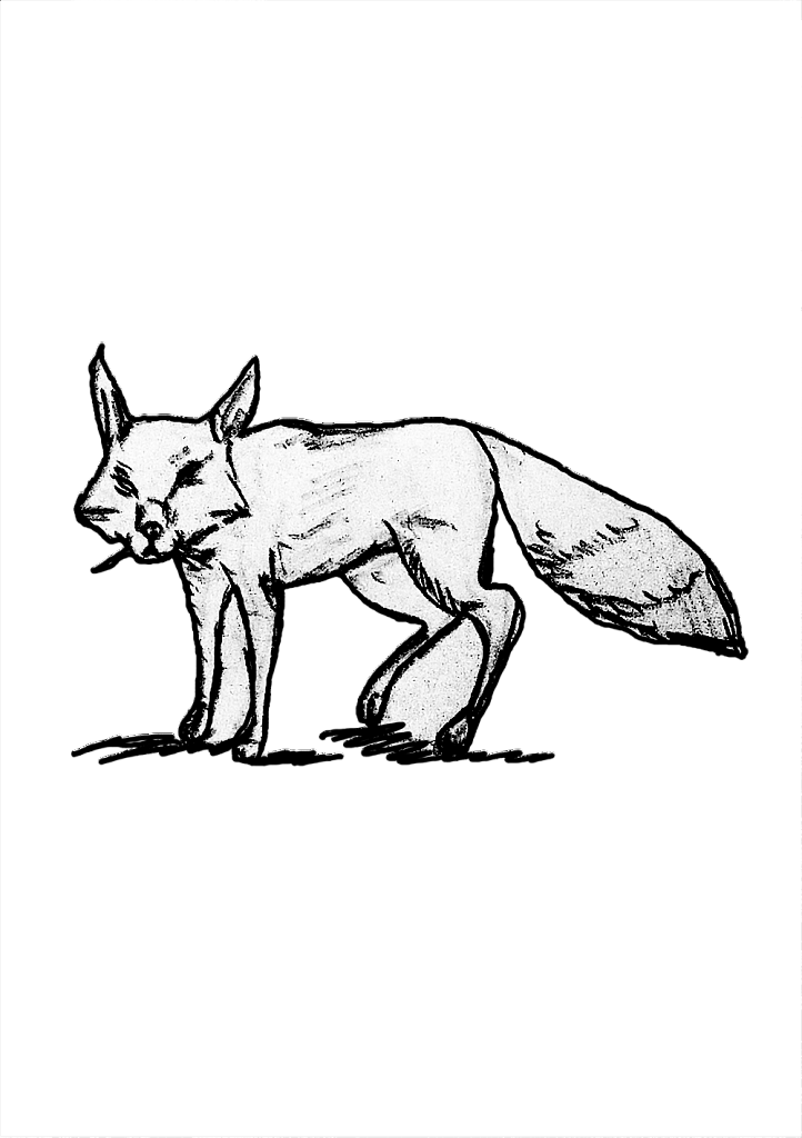 RENARD.png
