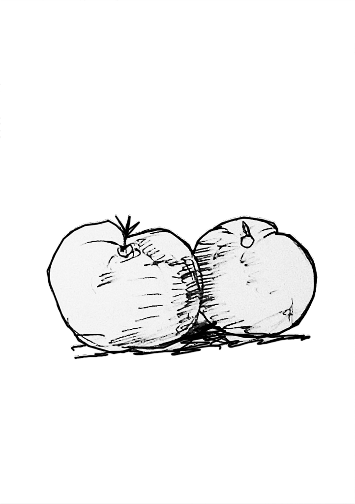 AUBERGINE.png